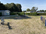 Landgoedcamping Nienoord